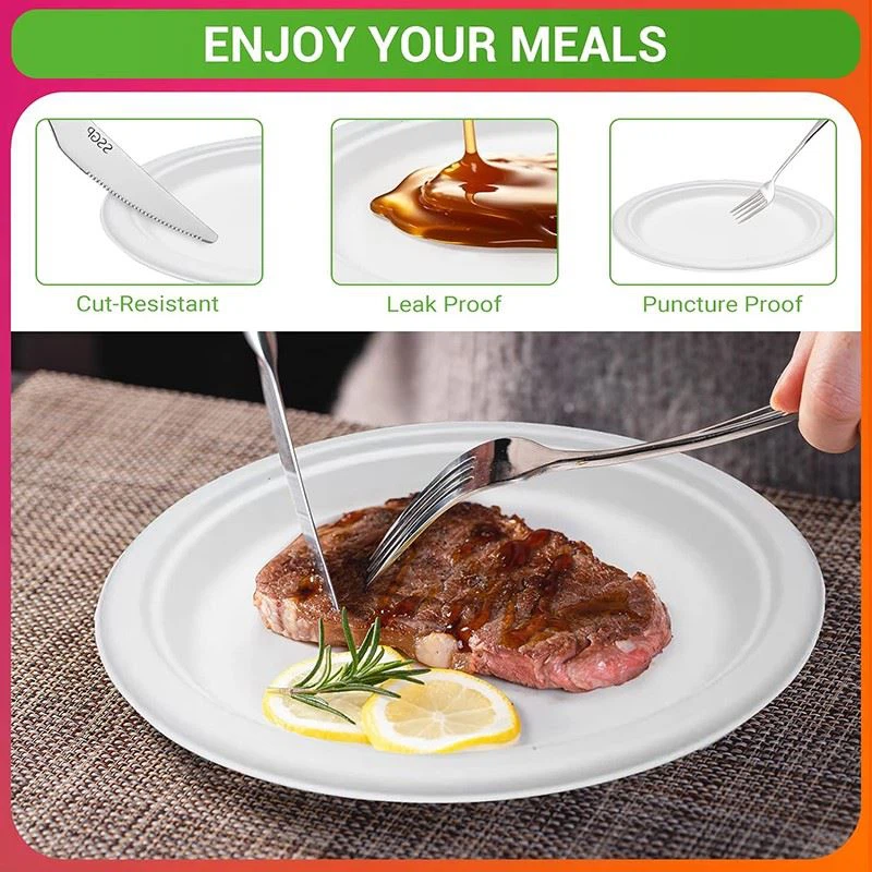 sugarcane paper plates 6 inch