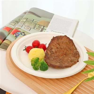 Plăci de unică folosință obținute din cana de zahăr